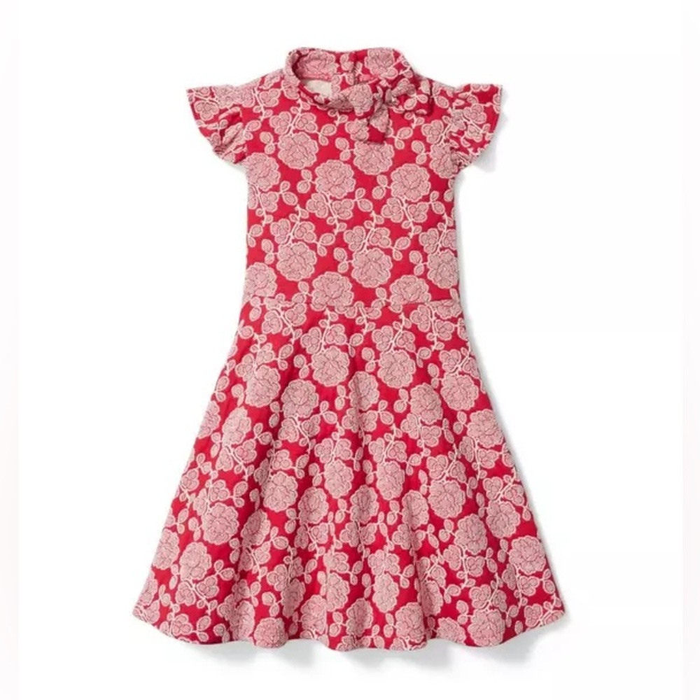 Janie and Jack Floral Jacquard Dress Red size 6-12 mos